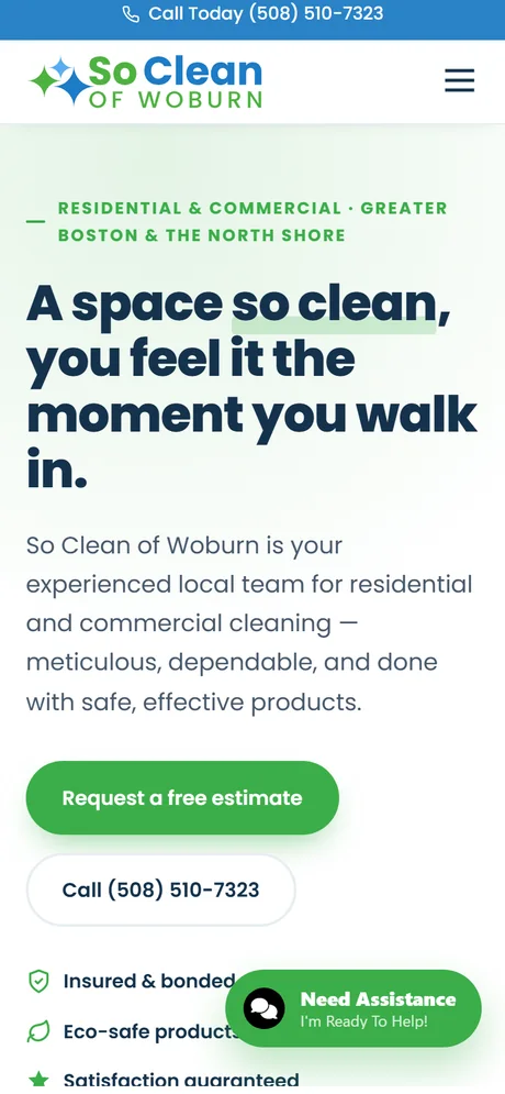 So Clean of Woburn homepage — mobile view
